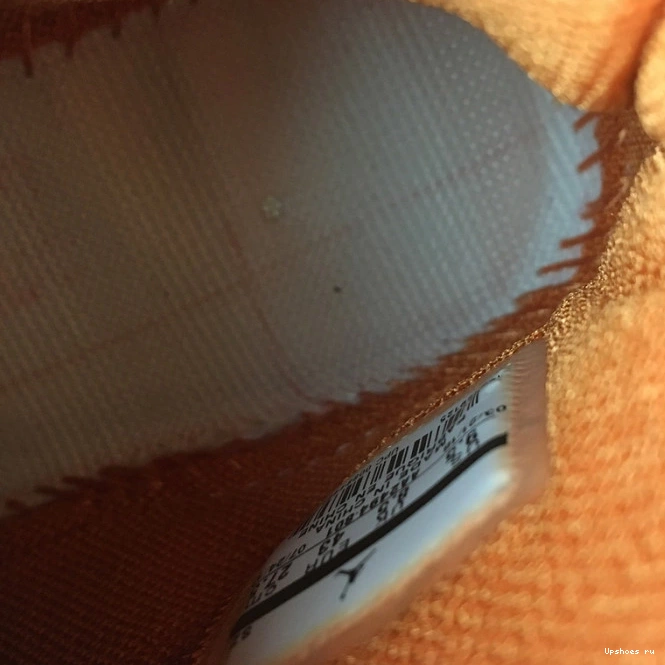 Campfire Retro Orange 18 AA2494-801 Jordan  0321